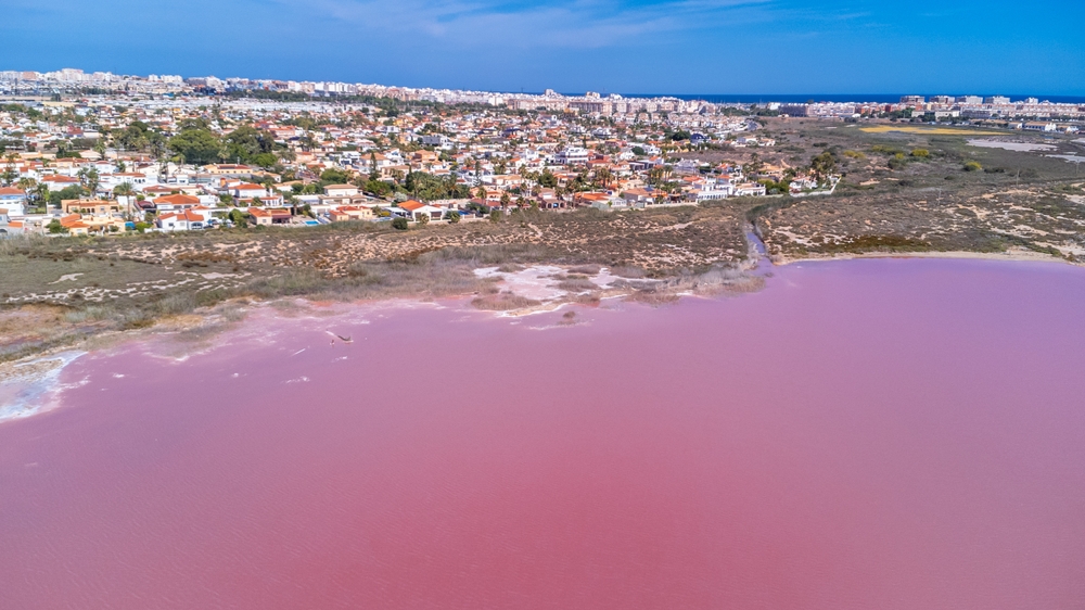Laguna Rosa Torrevieja